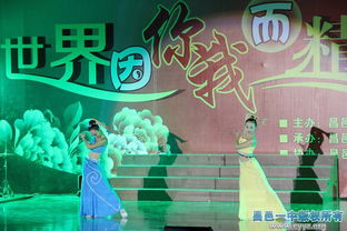 昌邑一中2015年元旦文艺晚会策划 世界因你我而精彩