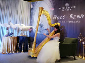 南海企业年会布置与文艺晚会策划指南——佛山市星辉文化传播专业服务