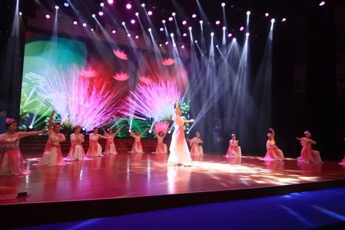 璀璨绽放，情暖邻里——第五届湖里区社区工作者文化节文艺晚会圆满落幕